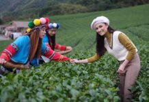 大馬穆斯林人氣女星來臺拍攝觀光宣傳影片 「Salam Taiwan(臺灣歡迎您)2023」迎客活動蓄勢待發