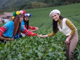 大馬穆斯林人氣女星來臺拍攝觀光宣傳影片 「Salam Taiwan(臺灣歡迎您)2023」迎客活動蓄勢待發