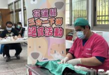 「毛」起來做源頭減量 花蓮縣政府提供免費犬貓三合一