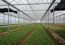 汛期已至 請農友強化防災措施並注意自身安全