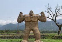 農廢資源循環再利用‧改善露天燃燒零污染