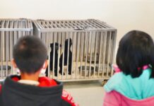 花蓮縣狗貓躍動園區活動 – 歸來・坐聊 歡迎大伙8/19共下來尞