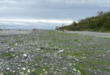 守護河川、防制揚塵,共建健康生活