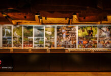 從土壤孕育的成果 花蓮設計中心榮獲2023年德國紅點設計大獎