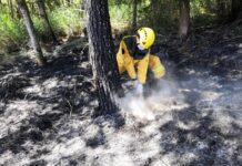 森林火災好發期 清明祭祖謹記「三要」「四不」全民防林火
