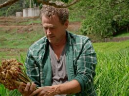 《From Scratch》 美國億級媒體平台美食旅遊節目訪臺 探尋臺灣美食與料理文化起源