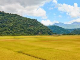 全力協助花蓮觀光產業紓困振興 旅遊補助拼6月上路