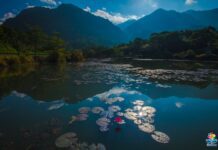 震災觀光振興花東共同拉抬 旅遊補助分波段實施振興東部