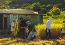 藝術家陶醉里山里海感官饗宴 融合在地元素 創作昇華