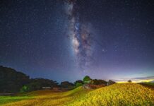 全台最美! 2024花蓮縣金針花季8月開跑 花蓮縣長徐榛蔚邀您一同來忘憂