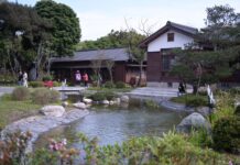 【花蓮將軍府1936】打造花蓮的客廳 注入在地文化魅力