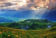 花蓮縣淨零軟實力 溫室氣體盤查及碳足跡主導查證員訓練課程開放報名