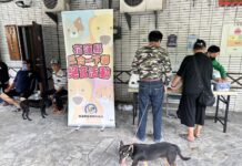 花蓮縣政府113年下半年度幸福犬貓三合一絕育活動開始 花蓮幸福又好康 有主或無主犬貓都皆可參加