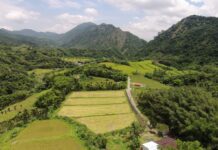花蓮縣政府辦理永續遊程設計競賽 總獎金高達10萬元 將你對花蓮永續旅遊的想像化作實際提案吧!