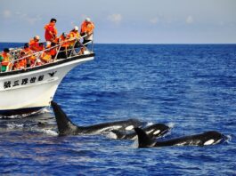 華航花蓮旅遊大禮包啟動 香港旅客經高雄轉花蓮享10大優惠