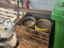 『資源永續循環』持續推動廚餘回收3步驟 社區廚餘自主堆肥學習