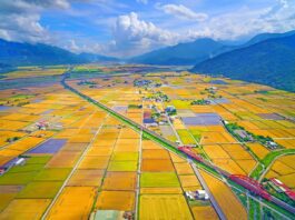韓國仁川航線啟航,縣府加碼推團遊獎勵