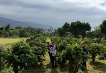 第四屆花蓮縣休閒農業體驗活動金質獎得獎名單即將揭曉