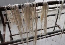 農糧纖維循環利用創多贏 香蕉假莖轉化為再生材料