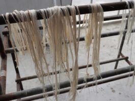 農糧纖維循環利用創多贏 香蕉假莖轉化為再生材料