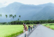 花蓮縣政府打造國際友善環境 多國友人走進鳳林客庄感受慢城風情