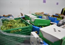 推動食物減廢與資源循環 花蓮縣政府赴英交流食物剩食管理經驗