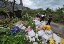 嚴防非法廢棄物傾倒 地主應盡管理之責