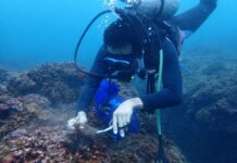 海洋治理成果再獲肯定 花蓮縣連續榮獲海洋環境管理考核特優