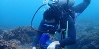 海洋治理成果再獲肯定 花蓮縣連續榮獲海洋環境管理考核特優